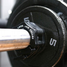 Load image into Gallery viewer, PAIR SteelBody Lock Jaw Collars | OBC-5