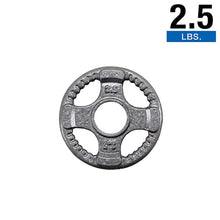 Load image into Gallery viewer, BODY SOLID OPT Gray Grip Cast Iron 2" Olympic Plates
