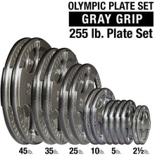 Load image into Gallery viewer, BODY SOLID OPT Gray Grip Cast Iron 2" Olympic Plates