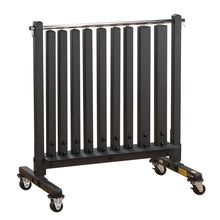 Load image into Gallery viewer, BODY SOLID GDR500 Commercial Vinyl and Neoprene Dumbbell Rack SKU:GDR500