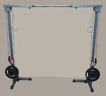 Load image into Gallery viewer, WALL MOUNT CABLE CROSS OVER GYM ONE TO ONE RATIO