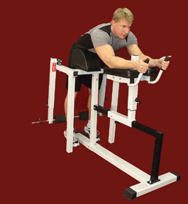 NYB  LOWER BACK EXTENSION MACHINE (HIP EXTENSION MACHINE)
