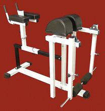 Load image into Gallery viewer, NYB  LOWER BACK EXTENSION MACHINE (HIP EXTENSION MACHINE)