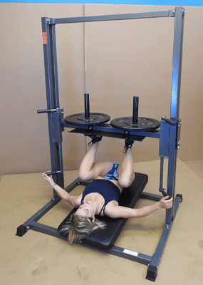 NYB (C-92070-O) PREMIER VERTICAL LEG PRESS