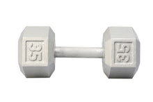 Load image into Gallery viewer, YORK Cast Iron Hex Dumbbell