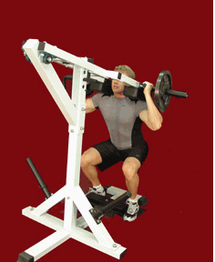 Tds leverage calf discount & squat machine