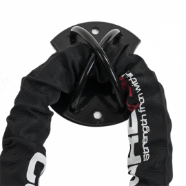D ring 2025 wall mount